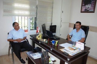 Çam Biti Bal Üretimini Artırıyor