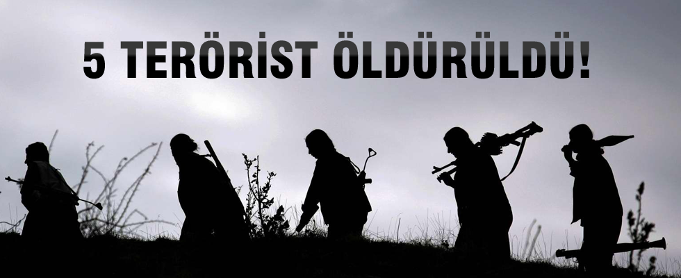 TSK: 5 teröristin cesedi bulundu