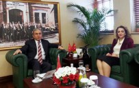 ADANA VALİSİ - Atasoy, Çukurova Ekonomi İstişare Toplantısına Katıldı