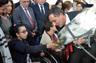 Down Sendromlu Ve Bedensel Engelli Çocuklara Atlı Terapi