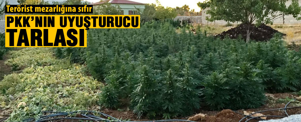 Lice'de PKK'ya büyük darbe