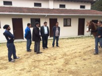 MURAT DURMAZ - Malatya'dan Giden Yarış Taylarına İlgi Büyük