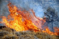 YANGIN HELİKOPTERİ - Mersin'de Orman Yangını