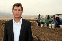 NIĞDE MERKEZ - Niğde Lahana Üretiminde İkinci Sırada