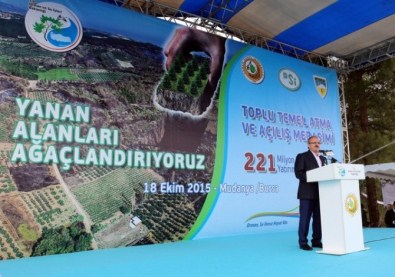 Orman Bakanlığı'ndan Bursa'ya 210 Milyonluk Yatırım