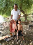 OLTA - Sıtma Pınar Çayı'nda Yakalanan 10 Kilogramlık Balık Şaşırttı