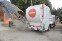 Üst Geçitlerin Mevsimlik Temizliği Yapıldı