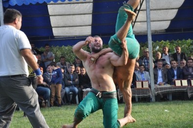 Zile Güreşlerinin Başpehlivanı Onur Balcı