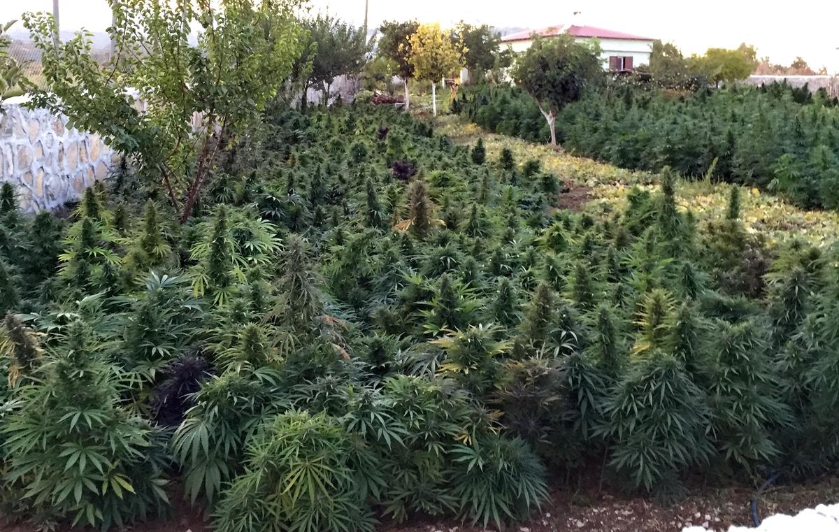 Lice'de PKK'ya büyük darbe