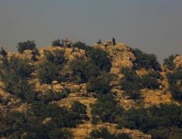 Nusaybin'de 19 kişi gözaltına alındı