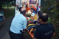 ŞEREFIYE - Ordu'da Pat Pat Kazası Açıklaması İki Yaralı