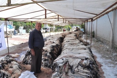 THK, Korkuteli'de Rekor Kırdı