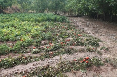 Tokat'ta Sağanak Yağış Sele Sebep Oldu