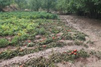 BÜNYAMİN YILDIZ - Tokat'ta Sağanak Yağış Sele Sebep Oldu