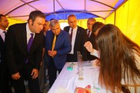 MEHMET ŞAHIN - Buca'da 'Bilim' Sokağa Taştı