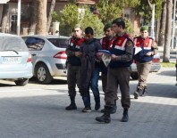 TELEFON KABLOSU - Jandarma Kablo Hırsızlarına Göz Açtırmıyor