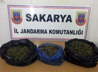 Sakarya'da 4 Bin 500 Gram Kubar Esrar Ele Geçirildi