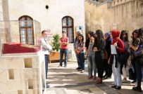 OYUNCAK MÜZESİ - Sanko Üniversitesi Öğrencileri Kültür Turu Yaptı