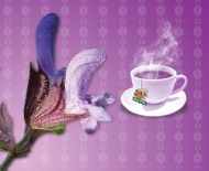 EKINEZYA - 'Bitki Çayları İle Vücut Direncinizi Arttırın'
