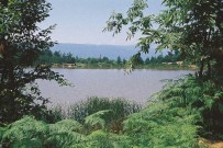 KURUGÖL - Düzce Belediyesi Turizm Rotasının Belirlenme Çalışmalarını Sürdürüyor