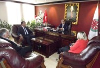 AYDıN ERDOĞAN - HDP Adayı Aydın Erdoğan'dan Ziyaretler