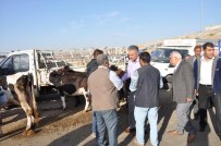 HALKLARIN DEMOKRATİK PARTİSİ - HDP Gaziantep Milletvekili Adayı Osman Demirci Açıklaması