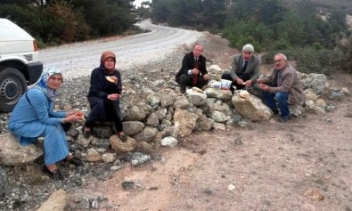 AK Parti Seçim Ekibinin Öğle Yemeği Menüsü Peynir, Domates, Soğan Ve Ekmek