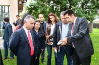 Buğday Verim Ve Kalitesini Arttırma Çalışmaları Değerlendirildi