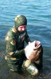 ZIPKIN - Devasa Balığı Zıpkınla Yakaladı