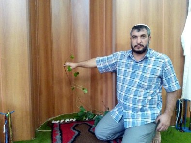 Mihrapta Çiçekler Açtı