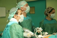 PANKREAS - Reflü Hastalığında Bunlara Dikkat