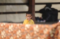 Suriyeli 5 Aile Yardım Bekliyor