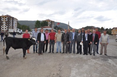 Azdavay Karayolları İşçilerin Kadro Sevinci