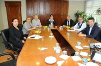 BÖLGE TOPLANTISI - Projeler, Yönetimle Paylaşıldı