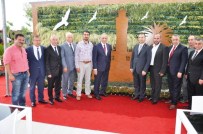 CELIL ATEŞOĞLU - Vali Toprak'tan Süs Bitkileri Ve Fidancılık Sergisine Ziyaret