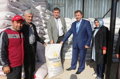 Kocaeli'de Verimi Artan Çiftçi Sağlıklı Ürünler Üretiyor