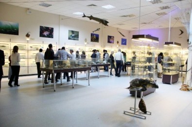 İkçü'den İzmir'e Deniz Canlıları Merkezi