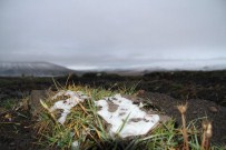 SÜTLÜCE - Ardahan'da Kar Yağışı