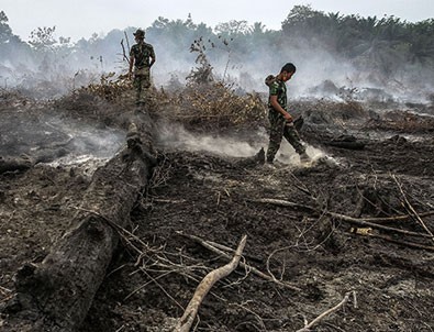 Endonezya'daki Orman Yangınları