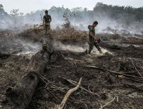 PALMİYE YAĞI - Endonezya'daki Orman Yangınları