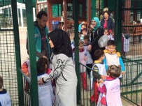 MİDİLLİ ATI - Giresun'da Hayvanat Bahçesi Öğrencilerin İlgisini Çekiyor