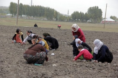 Kadınlar Kolektif Üretimin Temellerini Atıyor