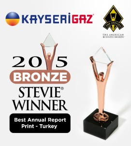 Kayserigaz Uluslararası Stevie Ödülü'nü Kazandı