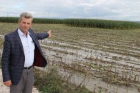 4 Bin 500 Dönüm Mahsul Sular Altında Kaldı