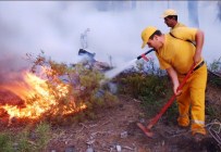 AMIR ÇIÇEK - 10 Ayda 159 Hektar Alan Yandı.