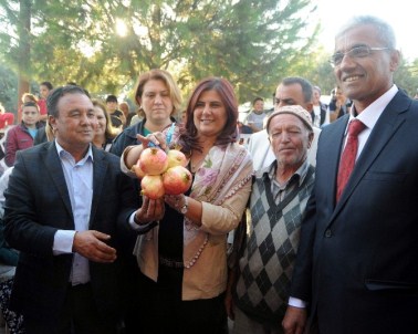 Aydın'da Tarlada Kalan 60 Ton Nar Halka Dağıtılacak