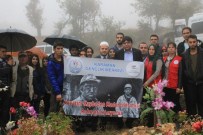 MEHMET ŞİMŞEK - Maden Kazasında Ölen İşçiler Mezarları Başında Anıldı
