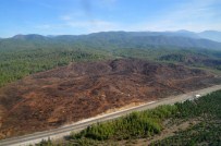 AMIR ÇIÇEK - Yanan Alanlar Havadan İncelendi