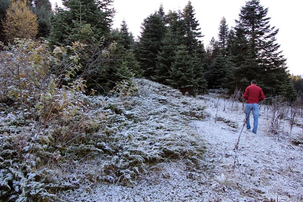 Kartalkaya'ya mevsimin ilk karı düştü