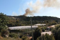 BEYKONAK - Antalya'da Orman Yangını